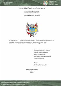 Informe Sobre El Plagio, PDF, Plagio